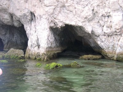DSCN1988.JPG