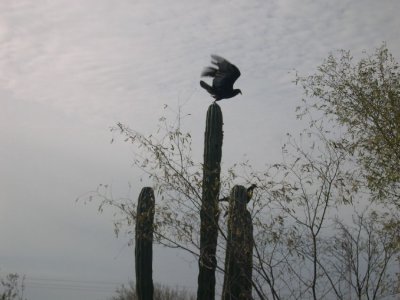 DSCN1992.JPG