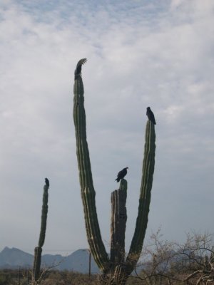 DSCN1993.JPG