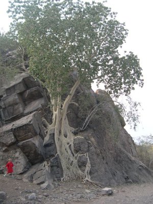 DSCN1997.JPG