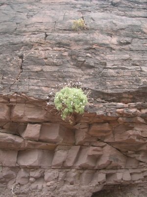 DSCN1999.JPG
