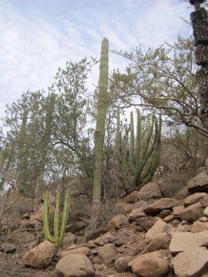 DSCN2006.JPG