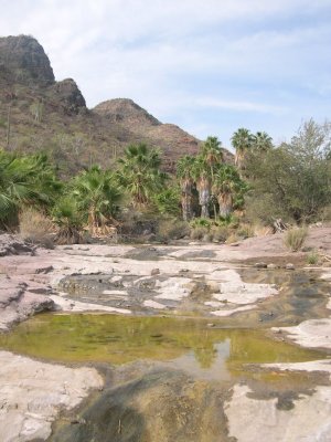 DSCN2007.JPG