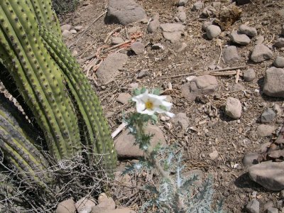 DSCN2011.JPG