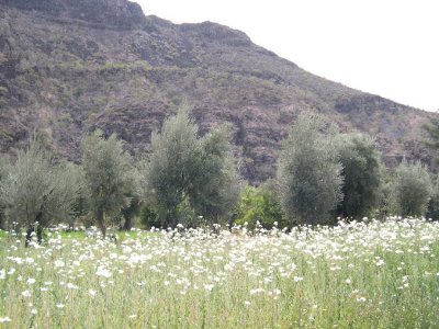 DSCN2033.JPG