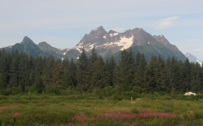 South East Alaska - August 2007