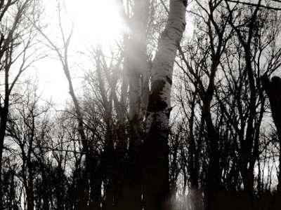 g3/72/773772/3/122452158.jXd9rcvM.jpg