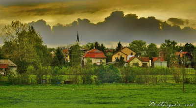 Vojvodina landscapes