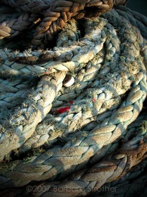 Osaka Ferry rope.jpg