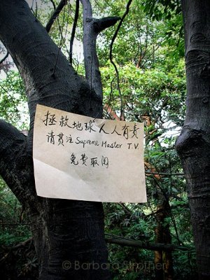Sign in the Woods.JPG