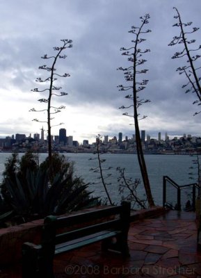 Alcatraz_View_SF.JPG