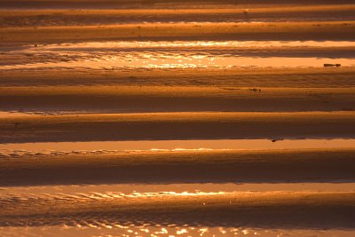 beach light