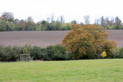 Autumn Landscape