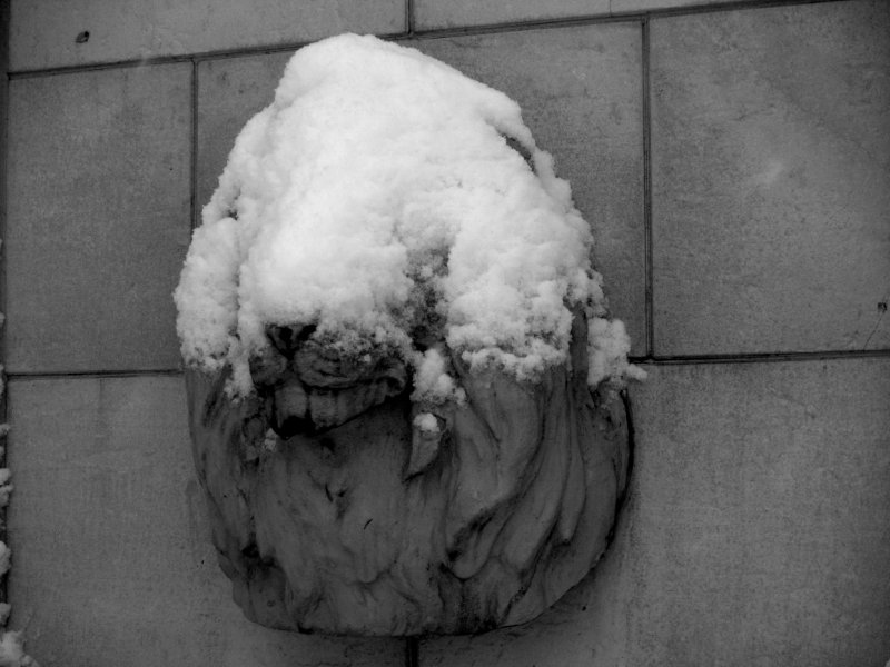 Snowblind
