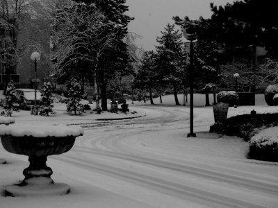 Slippery Driveway