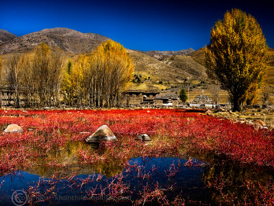 Red Grass Land