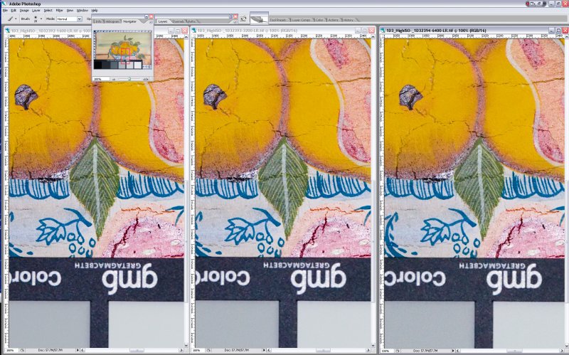 SCREEN_SHOT1D3-ISO3200_6400-LR-NI-3.jpg