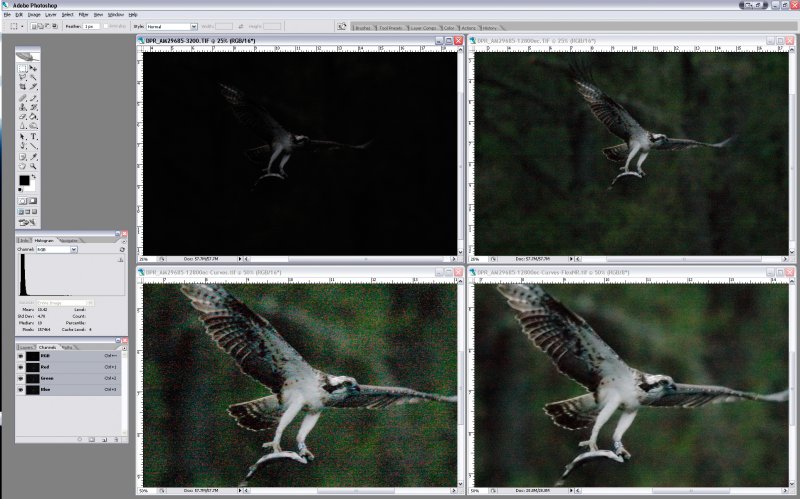 SCREEN_SHOT1D3-OSPREY-ISO12800+_FlexNR-1.jpg