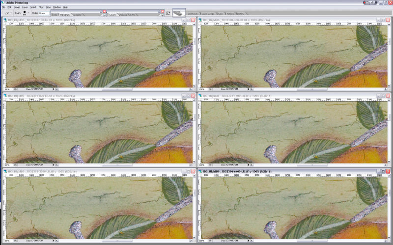 SCREEN_SHOT1D3-Multi_ISO-LR-5-b.jpg