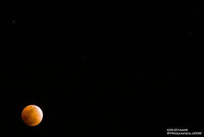 ECLIPSE-1D3_3336-800+0.00EV-web.jpg