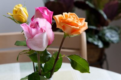_1D35148-3200-JPG-FlexNR-web.jpg
