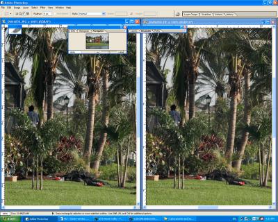 SCREEN_SHOT1DMKII_JPG_vs_EVU-1.jpg