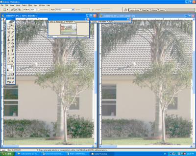 SCREEN_SHOT1DMKII_JPG_vs_EVU-2.jpg