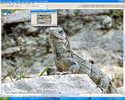 SCREEN_SHOT5400_II-Film_Noise-1.jpg