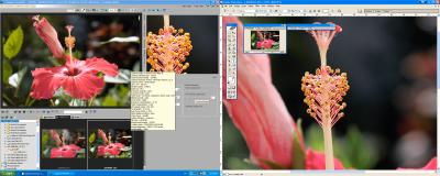 SCREEN_SHOT1DMKII-24_105L-BlackHalo-1.jpg
