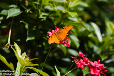 Liberty_Park-_1D30154-100-LR-web.jpg