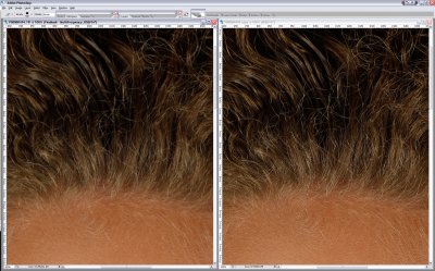 SCREEN_SHOT1DMKIII-FLEXS_4m_3s_maxMC-2.jpg
