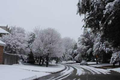 IMG_0136.JPG