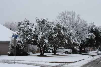FW_Snow