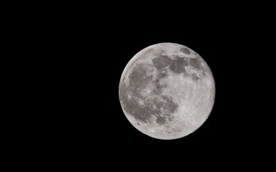 20091102-DSC_8002.jpg