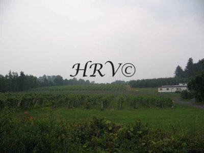 Fino FarmsIMG_1047.jpg