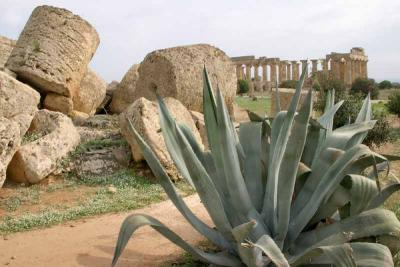 Sicily_img_0995.jpg