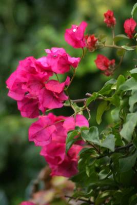 Sicily_img_1459.jpg