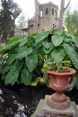 Sicily_img_1468.jpg