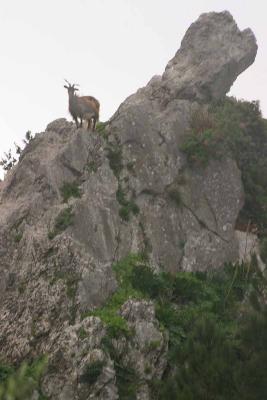 Sicily_img_1838.jpg