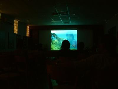 phuket262.jpg