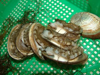 phuket264.jpg
