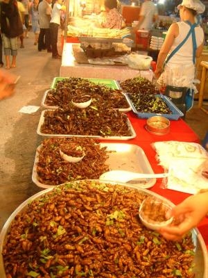 phuket342.jpg