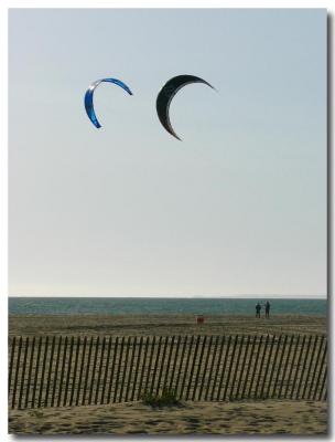 Two kites