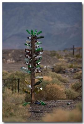 Beer bottle tree