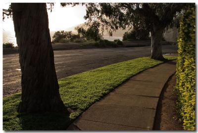 Hedge and edge