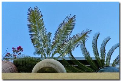 Upstairs garden