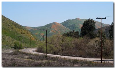 Painted hills