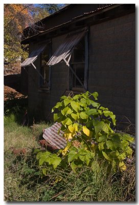 Awnings