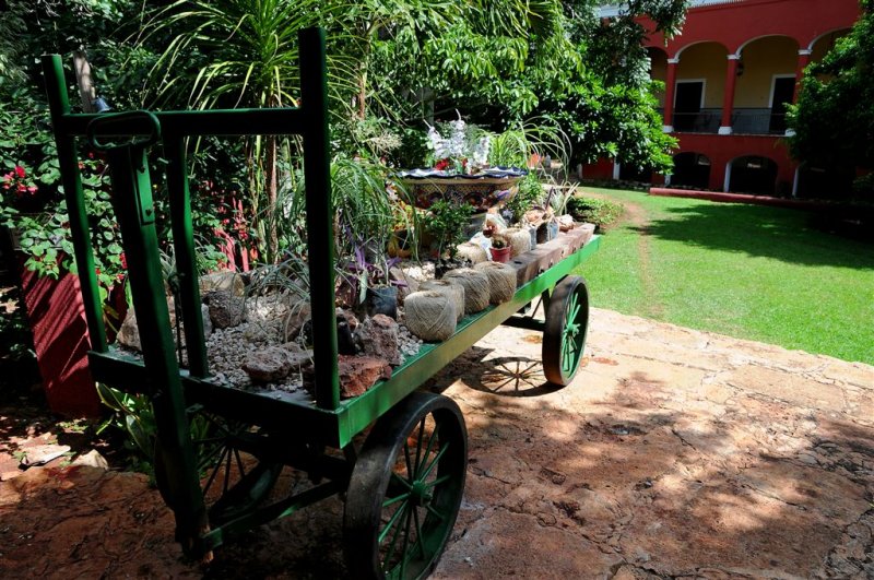 Morning on Hacienda, Yucatan