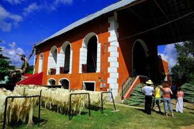 New Workers on Job Orientation, Sisal Hacienda